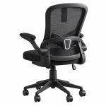 Ghế Thái Học Lưng Cánh Bướm Không Tựa Đầu - GX24