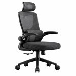 Ghế Công Thái Học Đệm Lưng Cải Thiện Cột Sống - CTH9