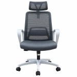 Ghế Công Thái Học Êm Ái Lưng Lưới Thoáng Khí - CTH31