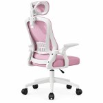Ghế Xoay Công Thái Học Tay Gập - CTH2