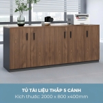 Tủ Tài Liệu Thấp 5 Cánh Tiện Lợi - THS66