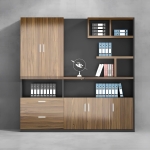 Tủ Tài Liệu Gỗ Dành Văn Phòng Hiện Đại - THS220