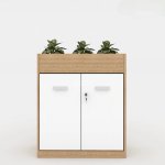 Tủ Tài Liệu Gỗ Trưng Bày Cây Xanh - THS156