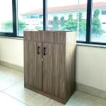Tủ Tài Liệu Gỗ Để Cây Trang Trí Dạng Lửng - THS222