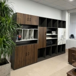 Tủ Tài Liệu Gỗ Dành Phòng Giám Đốc - THS231