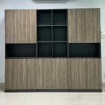Tủ Tài Liệu Gỗ Màu 2862 Hiện Đại - THS232