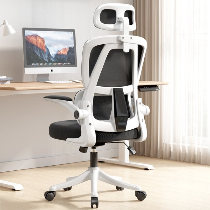 Ghế Công Thái Học Thông Minh - CTH11