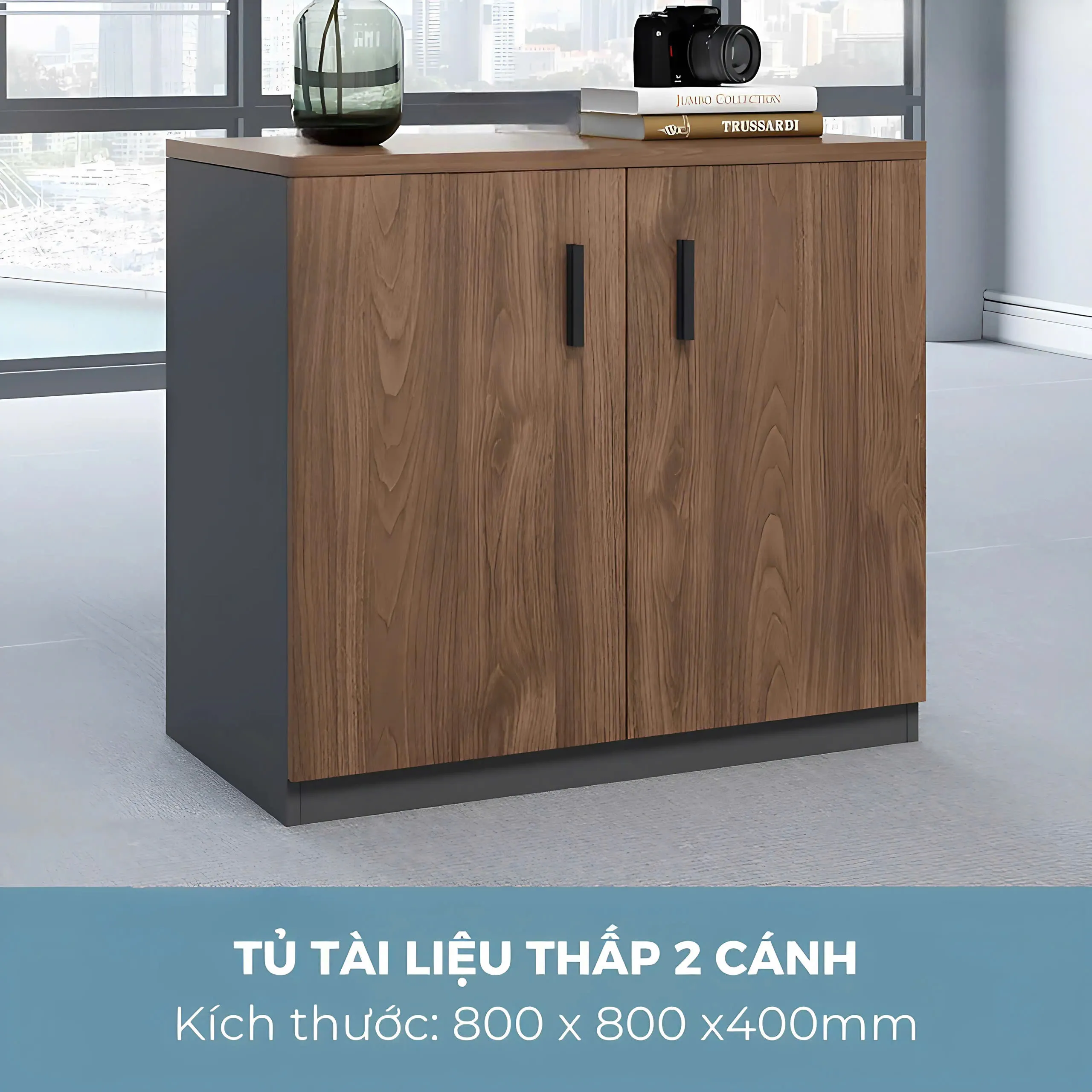 Tủ Phụ Thấp 2 Cánh - TP14
