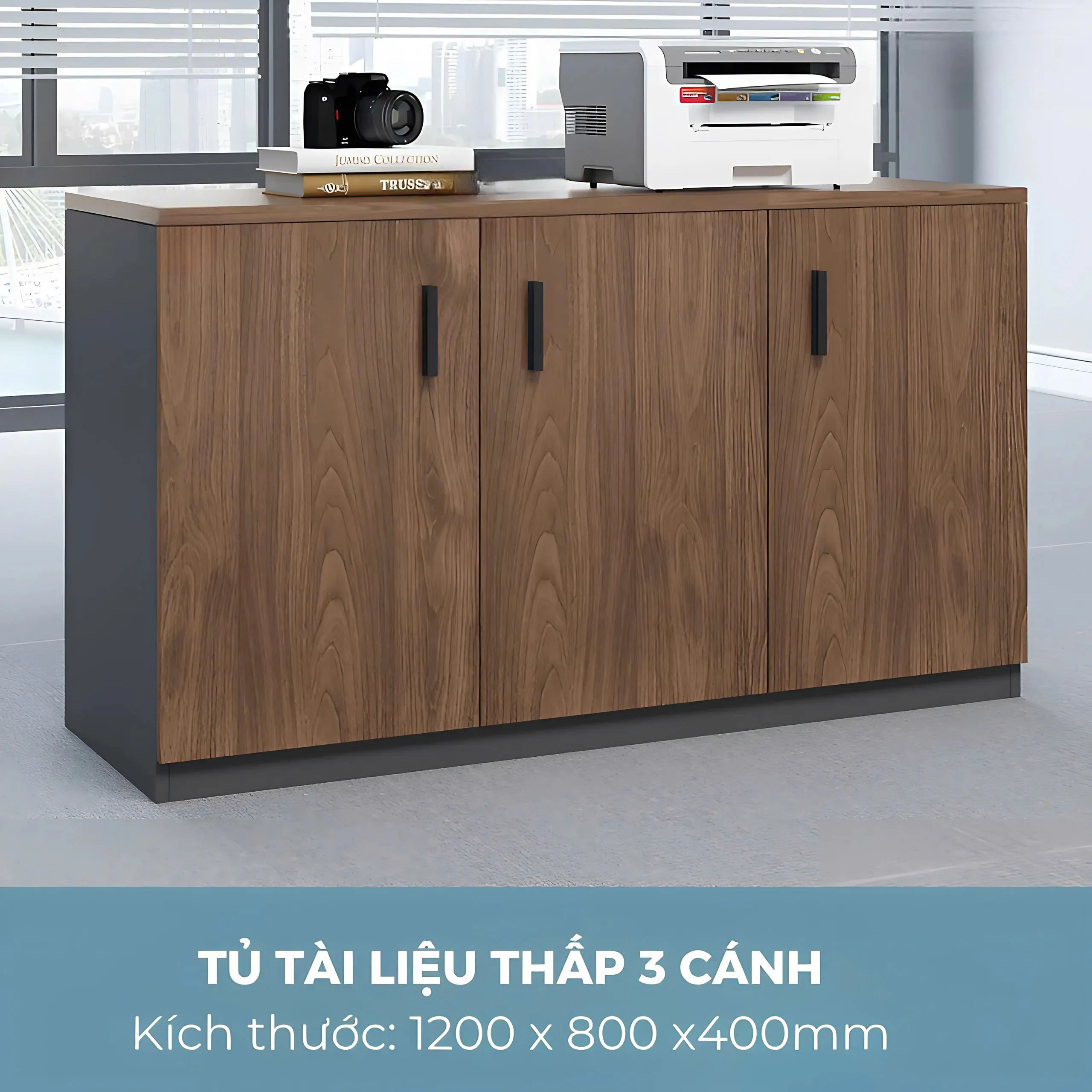 Tủ Tài Liệu Gỗ Dạng Thấp 3 Cánh Tiện Dụng - THS62