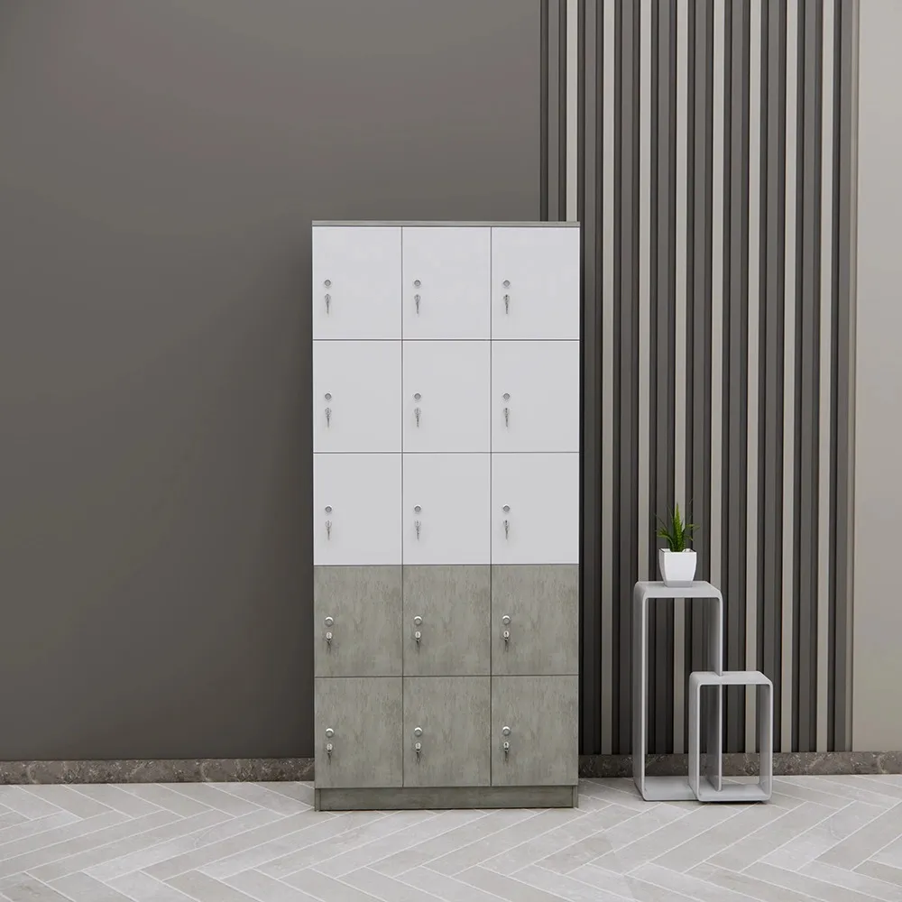 Tủ Locker 15 Ô Khóa Riêng Biệt – Giải Pháp Lưu Trữ Hồ Sơ - TLK91
