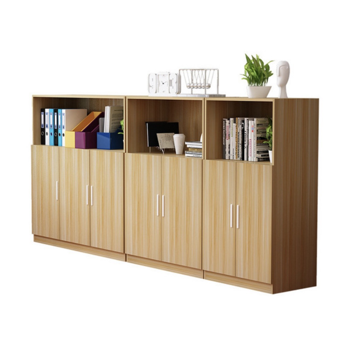 Tủ Văn Phòng 2 Cánh Dáng Thấp  - THS107