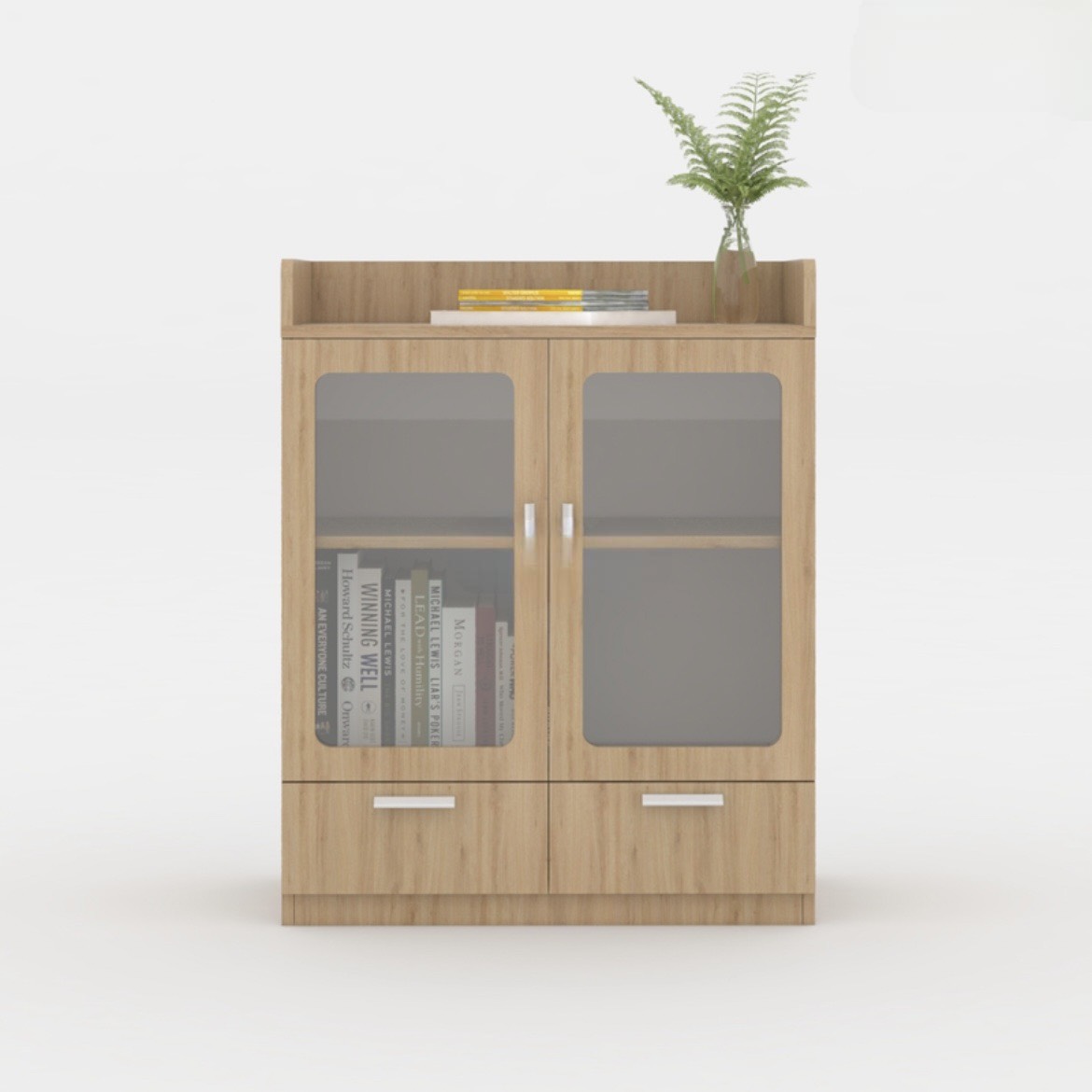 Tủ Tài Liệu Gỗ Dáng Lửng - THS60