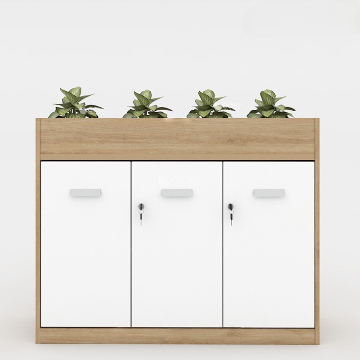 Tủ Tài Liệu Gỗ Trang Trí  Cây Xanh Hiện Đại - THS155