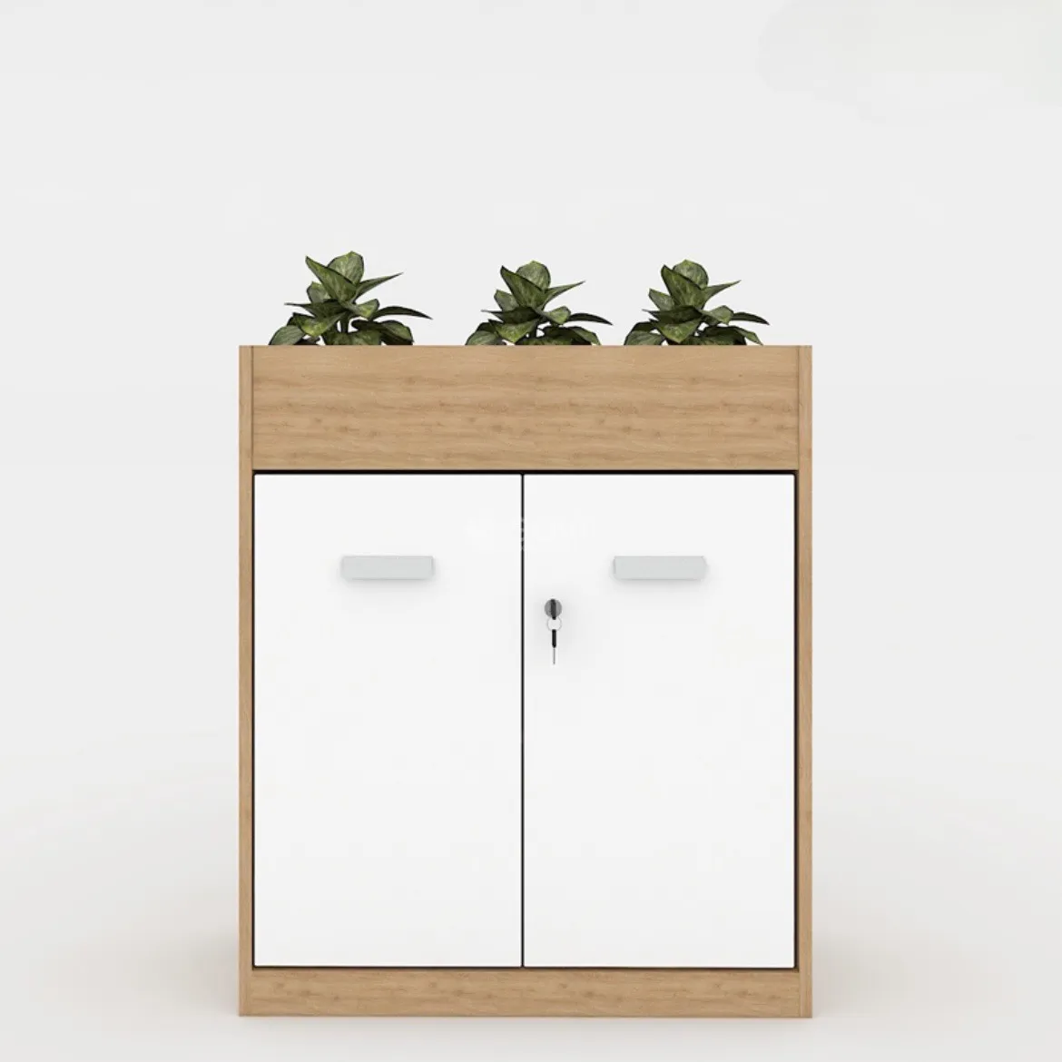 Tủ Tài Liệu Gỗ Trưng Bày Cây Xanh - THS156