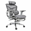 Ghế Công Thái Học Thiết Kế Lưng Đôi Hỗ Trợ Cột Sống Toàn Diện - GX103
