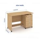 Bàn Làm Việc Gỗ Kèm Hộc Kéo 3 Tầng - BG59