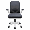 Ghế Công Thái Học T19 Trẻ Trung Tiện Nghi Hiện Đại - GX97