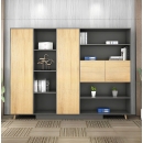 Tủ Tài Liệu Gỗ Phòng Chủ Tịch Thanh Lịch - THS278