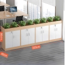 Tủ Tài Liệu Gỗ Để Cây Xanh Trưng Bày - THS258