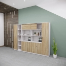 Tủ Hồ Sơ Đối Xứng Tích Hợp Cánh Lùa Và Kệ Trang Trí - THS408