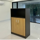 Tủ Tài Liệu Gỗ 2 Cánh Hiện Đại - THS255