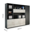 Tủ Hồ Sơ Thiết Kế Cánh Lửng Kết Hợp Khoang Trưng Bày - THS338