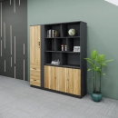 Tủ Lưu Trữ Hồ Sơ Thiết Kế Phân Tầng Thông Minh - THS397