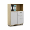 Tủ Tài Liệu Gỗ Thấp Có Ngăn Kéo - THS109