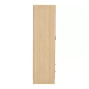 Tủ Quần Áo Hiện Đại Giải Pháp Không Gian Lưu Trữ - TQA2