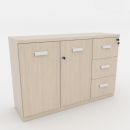 Tủ Tài Liệu Gỗ Thấp 2 Cánh Và 3 Ngắn - THS136