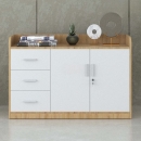 Tủ Tài Liệu Gỗ Dáng Thấp Nhiều Ngăn  - THS64