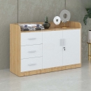 Tủ Tài Liệu Gỗ Dáng Thấp Nhiều Ngăn  - THS64