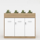 Tủ Tài Liệu Gỗ Trang Trí  Cây Xanh Hiện Đại - THS155