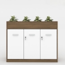 Tủ Tài Liệu Gỗ Trang Trí  Cây Xanh Hiện Đại - THS155