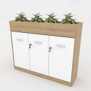 Tủ Tài Liệu Gỗ Trang Trí  Cây Xanh Hiện Đại - THS155