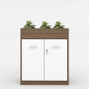 Tủ Tài Liệu Gỗ Trưng Bày Cây Xanh - THS156