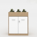 Tủ Tài Liệu Gỗ Trưng Bày Cây Xanh - THS156