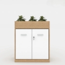 Tủ Tài Liệu Gỗ Trưng Bày Cây Xanh - THS156