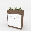 Tủ Tài Liệu Gỗ Trưng Bày Cây Xanh - THS156