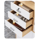 Tủ Tài Liệu Gỗ Thấp Nhiều Ngăn Đa Năng - THS229
