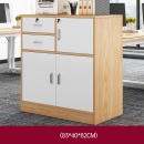 Tủ Tài Liệu Gỗ Thấp Nhiều Ngăn Đa Năng - THS229