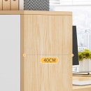 Tủ Tài Liệu Gỗ Thấp Nhiều Ngăn Đa Năng - THS229