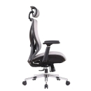 Ghế Xoay Văn Phòng Công Thái Học Cao Cấp - GX47