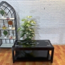 Bàn Trà Sofa Chữ Nhật Mặt Đá 2 Tầng - BT24