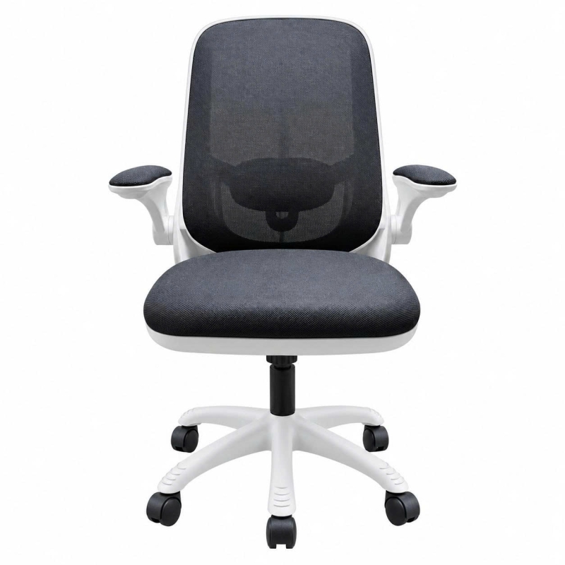 Ghế Công Thái Học T19 Trẻ Trung Tiện Nghi Hiện Đại - GX97