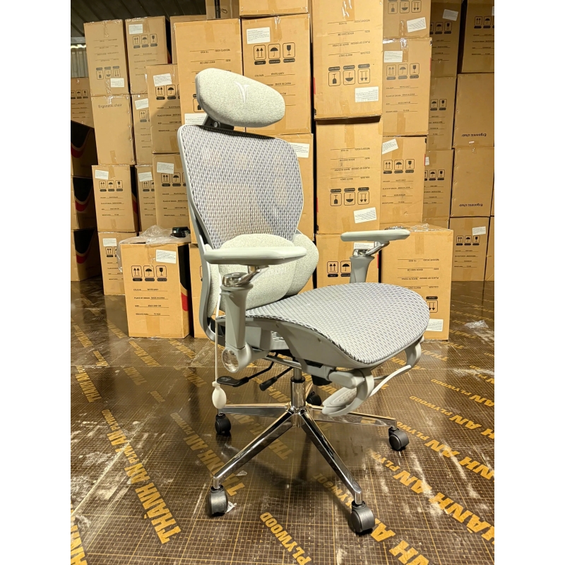 Ghế Công Thái Học LIKE-REGA Lưng Lưới Cao Cấp - GX71