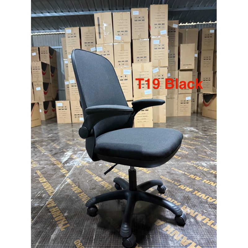 Ghế Công Thái Học T19 Kiểu Dáng Nhỏ Gọn Giá Mềm - GX74