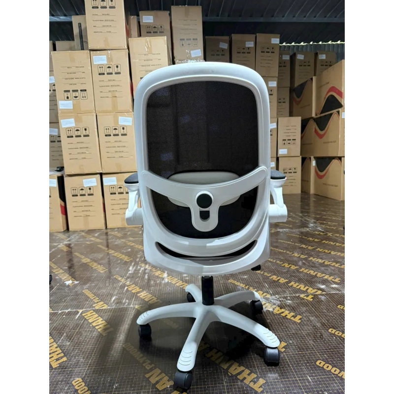 Ghế Công Thái Học T19 Trẻ Trung Tiện Nghi Hiện Đại - GX75