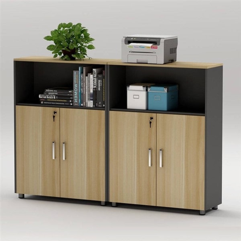 Tủ Tài Liệu Gỗ Dáng Thấp Hiện Đại - THS217