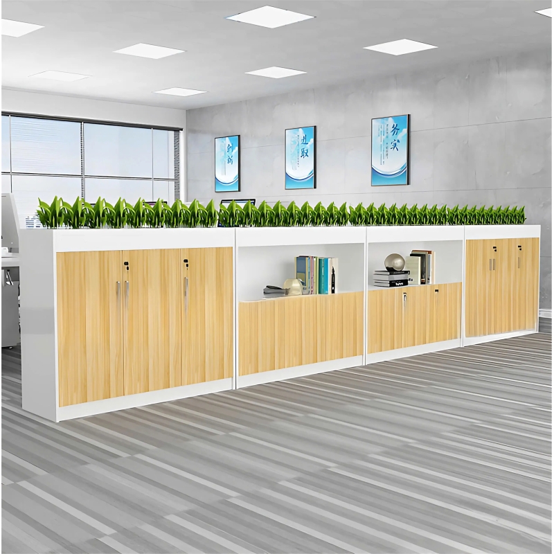 Tủ Tài Liệu Gỗ Để Cây Xanh Trang Trí Văn Phòng - THS260